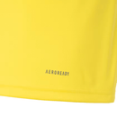 Camisa Flamengo Treino Amarela 24/25 -Masculina