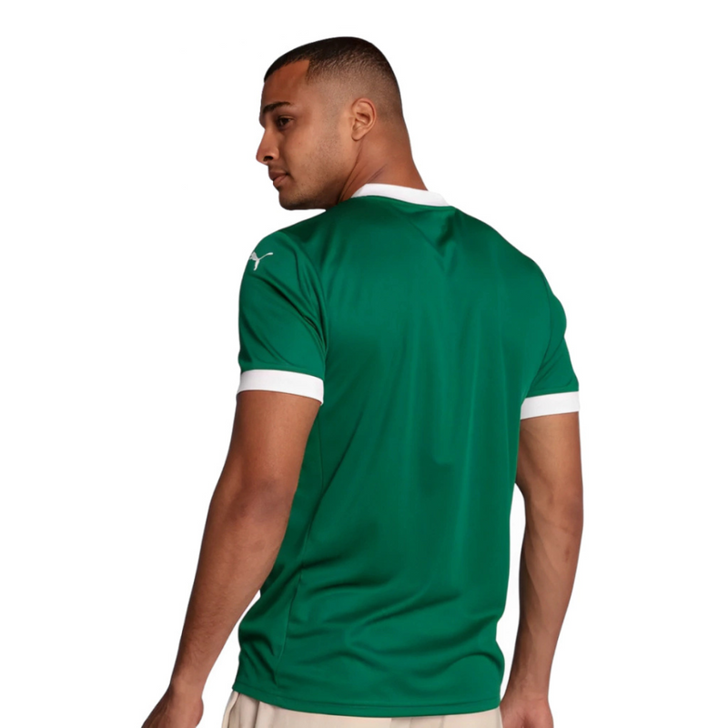 Camisa Palmeiras I 25/26 - Torcedor Masculina - Verde e Branco