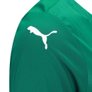 Camisa Palmeiras I 25/26 - Torcedor Feminina - Verde e Branco