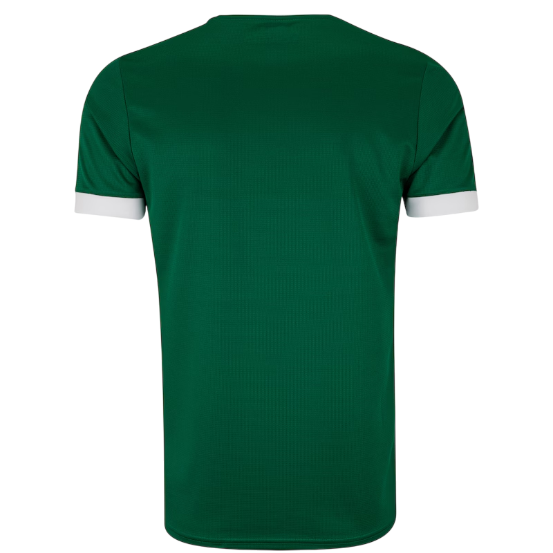 Camisa Palmeiras I 25/26 - Torcedor Masculina - Verde e Branco