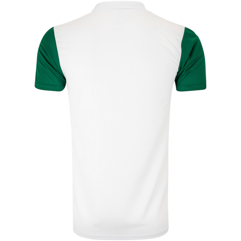 Camisa Palmeiras II 25/26 - Torcedor Masculina - Branca e Verde